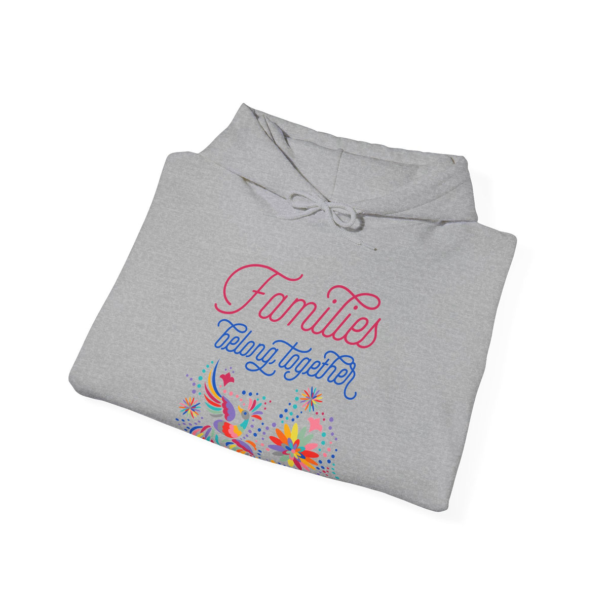 Families Belong Together Rainbow Hoodie