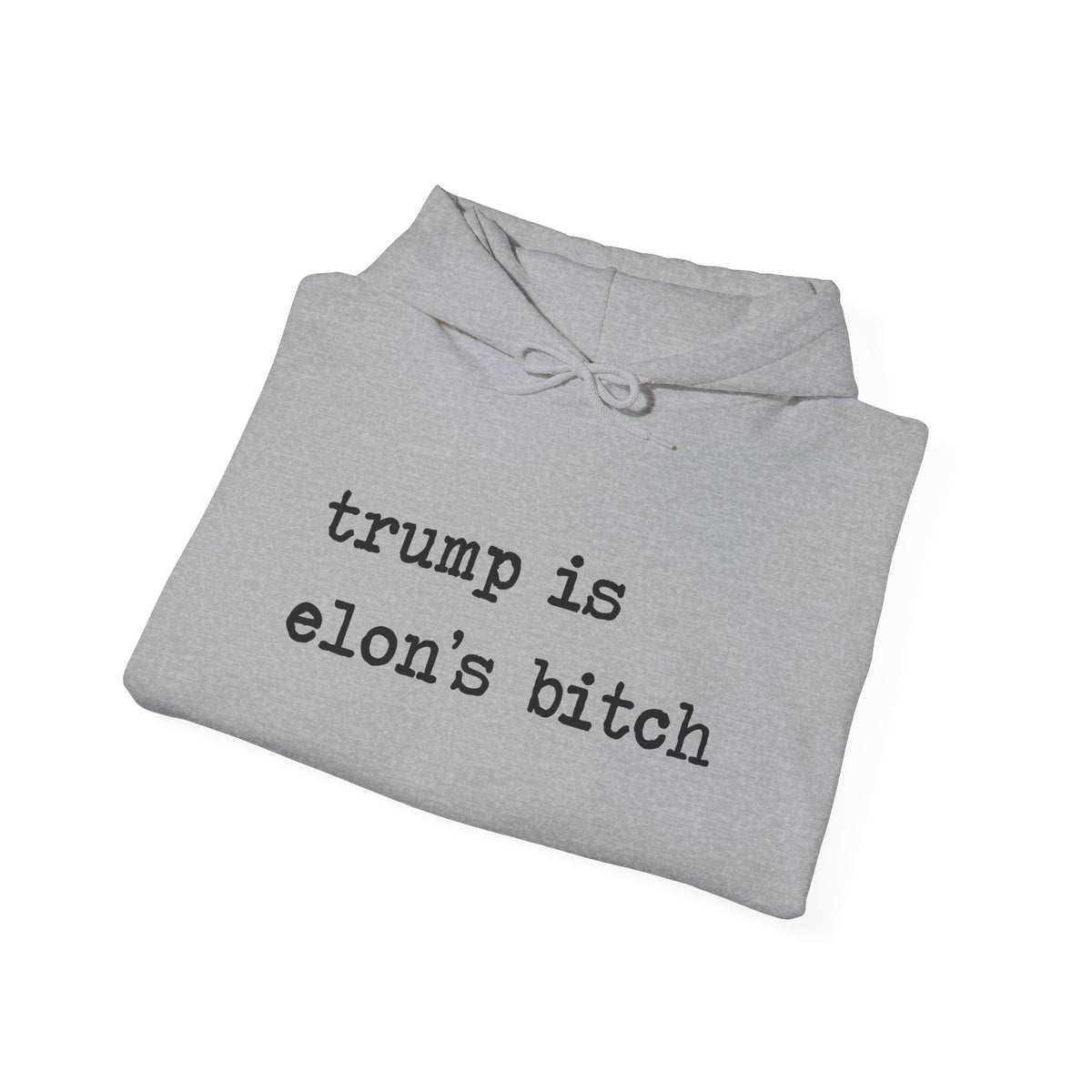 Trump Is Elon's Bitch Hoodie
