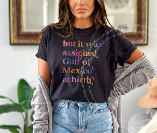 Team Gulf of Mexico America golfo de anti trump democrat liberal shirt tee t-shirt shirt tshirt apparel gift anti-fascist fascist fascism fragile masculinity 1569 dissent anti-elon elon musk deport progressive woke political support immigrants immigration rainbow colorful font words letter design retro vintage cute girly funny joke girl trans transgender support pronoun they them