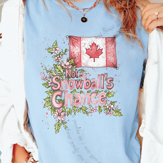 Not a Snowball's Chance Care & Resist progressive t-shirt in Chambray