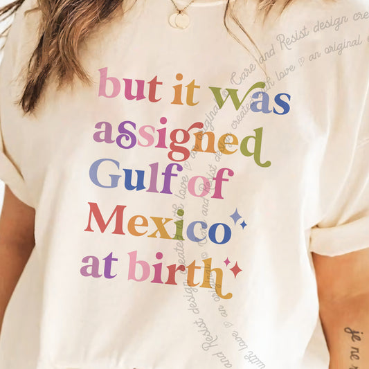 But It Was Assigned Gulf of Mexico At Birth Care & Resist tee in Ivory, close-up of the lettering