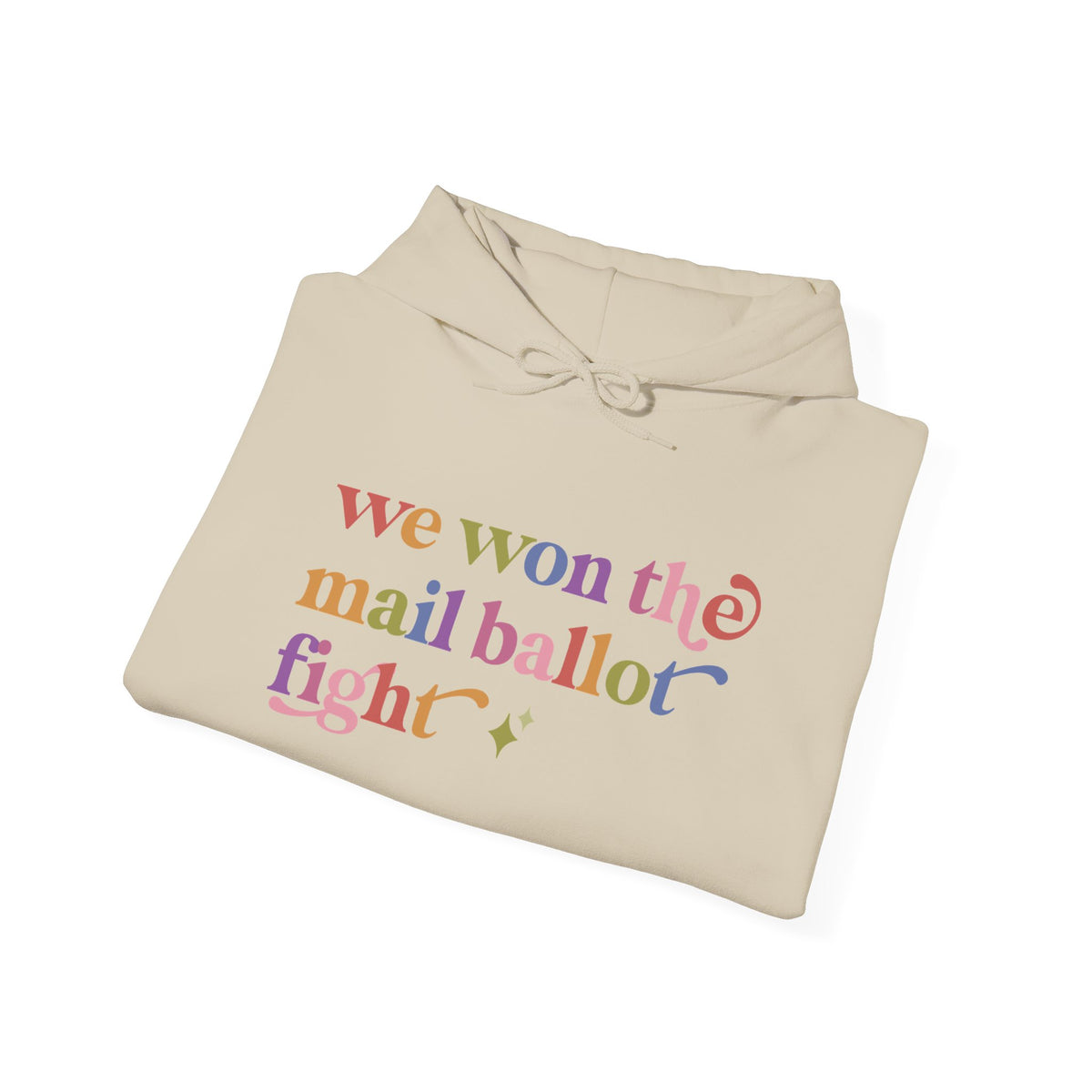 We Won the Mail Ballot Fight Hoodie