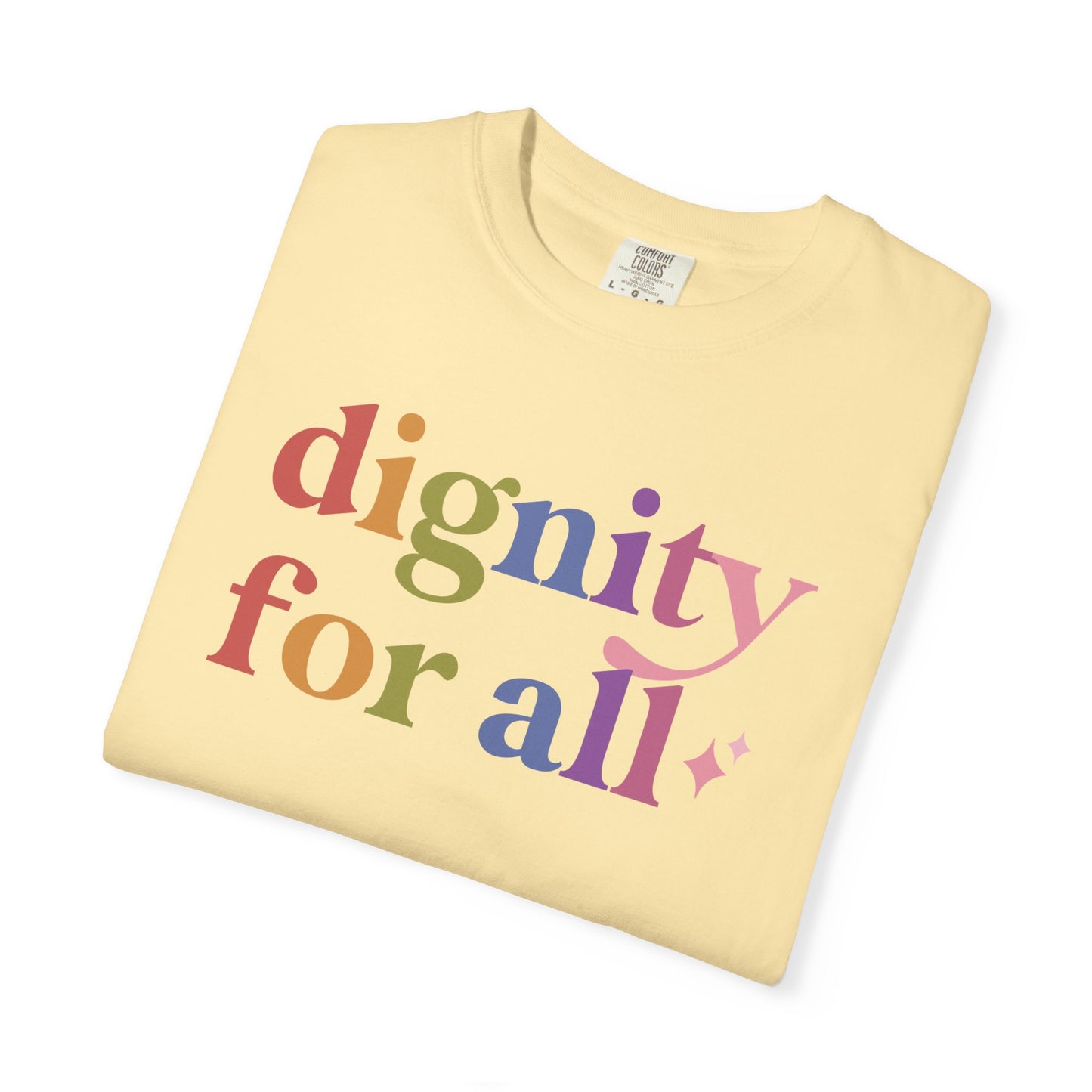 Dignity for All Care & Resist rainbow Comfort Colors tee