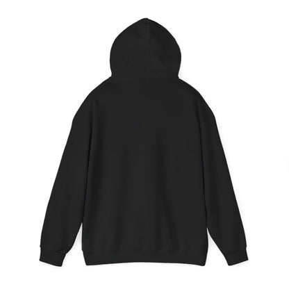 Protect Judicial Independence Hoodie