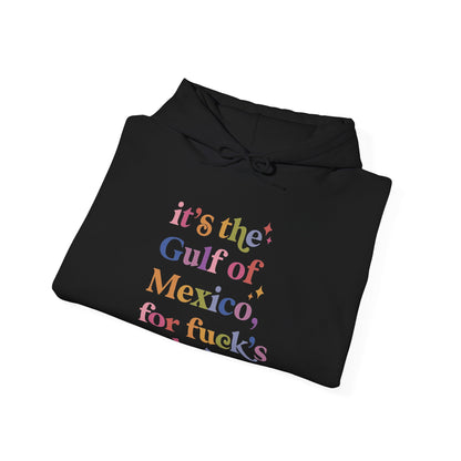 It's the Gulf of Mexico for Fuck's Sake Hoodie