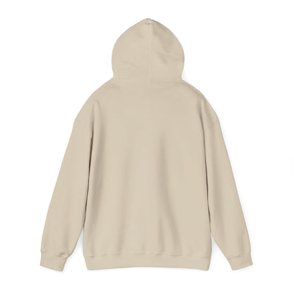 Hire Us or Say Why You Will not Hoodie
