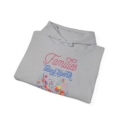 Families Belong Together Rainbow Hoodie