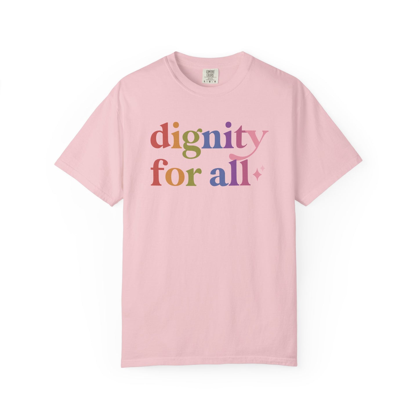Dignity for All Care & Resist rainbow Comfort Colors tee