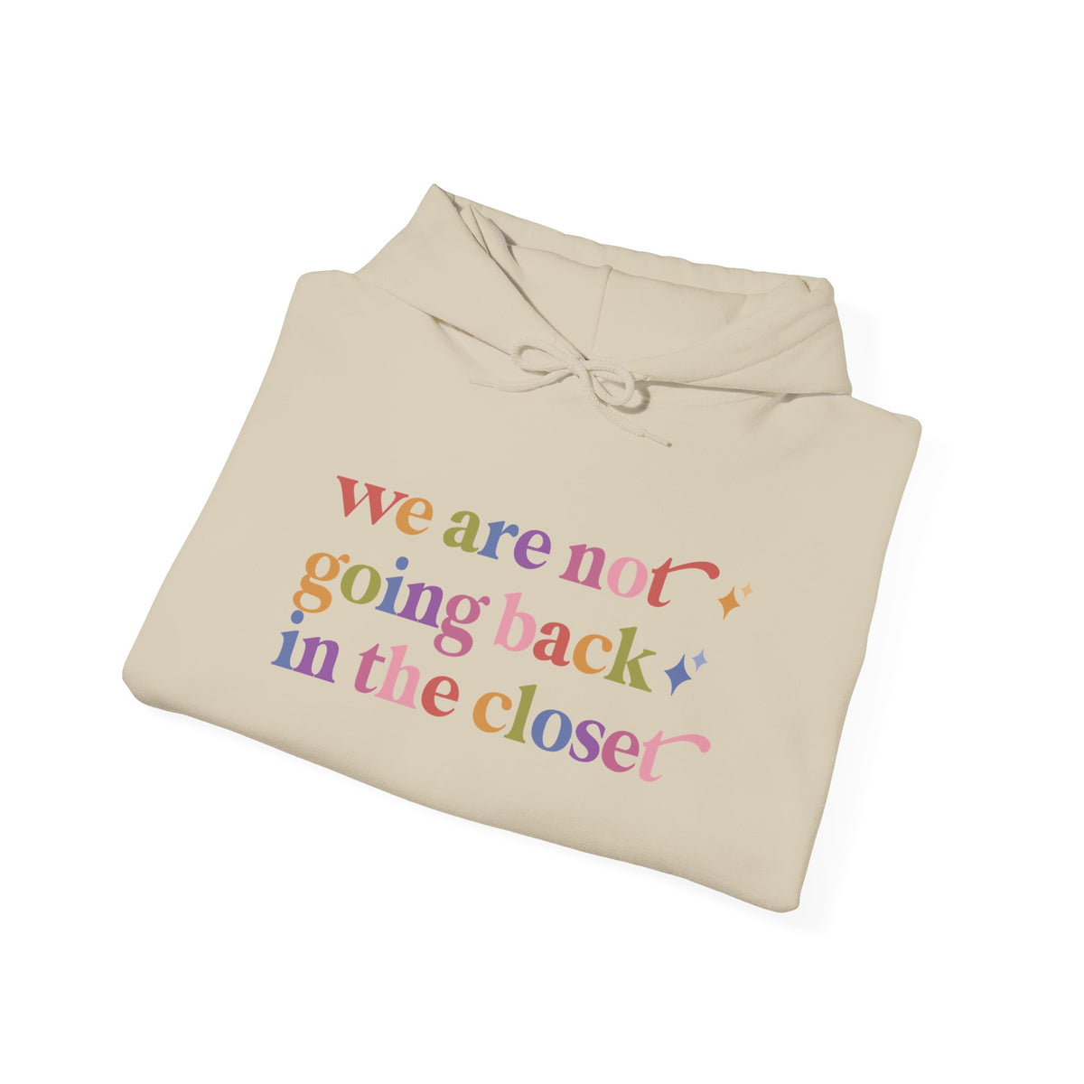 We are not Going Back in the Closet Hoodie