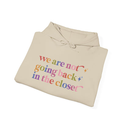 We are not Going Back in the Closet Hoodie