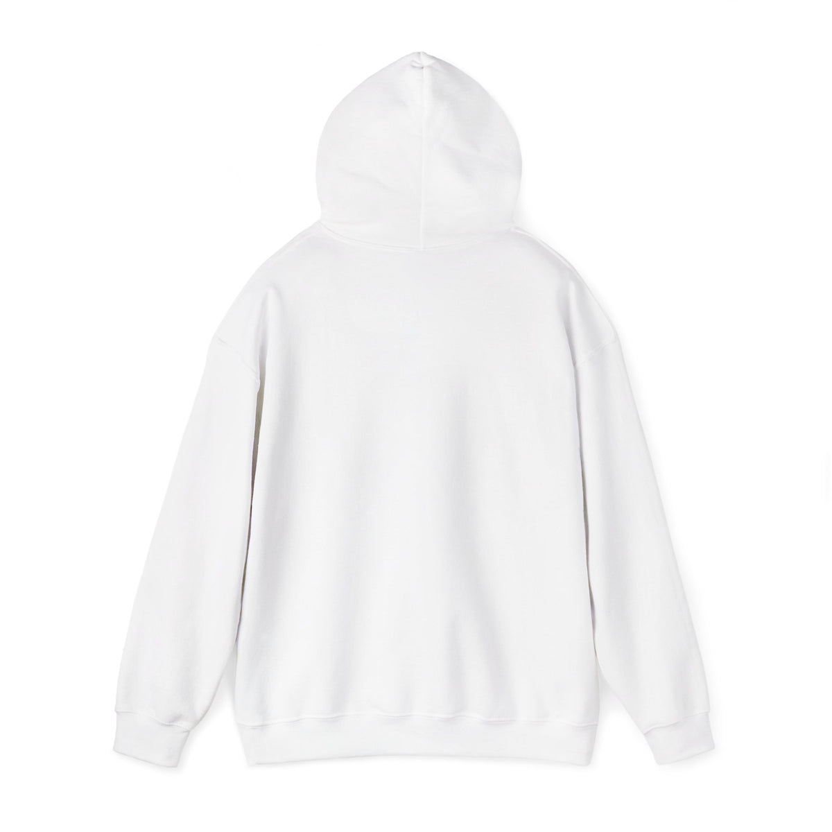 A Deepfake is not Evidence Hoodie