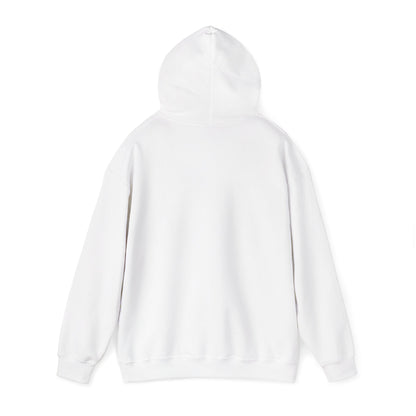 A Deepfake is not Evidence Hoodie