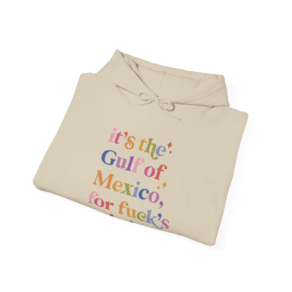 It's the Gulf of Mexico for Fuck's Sake Hoodie
