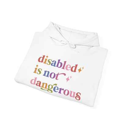 Disabled is not Dangerous Hoodie