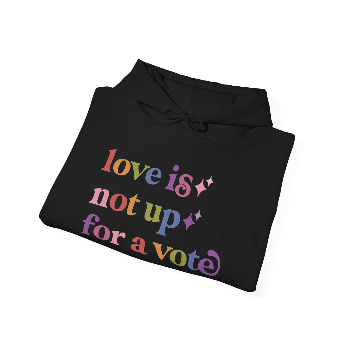 Love is not Up for a Vote Hoodie