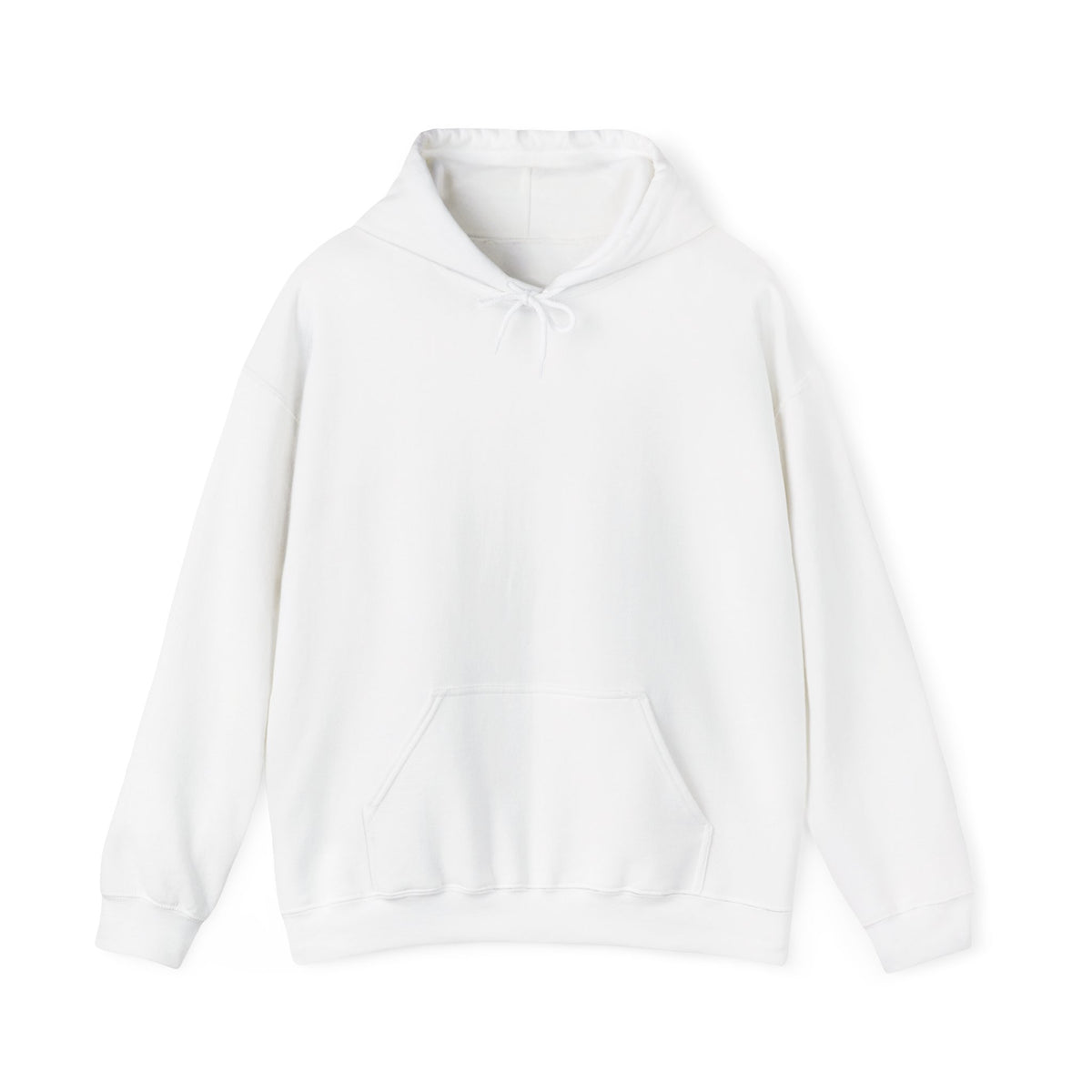 Protect Judicial Independence Hoodie