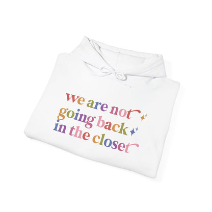 We are not Going Back in the Closet Hoodie