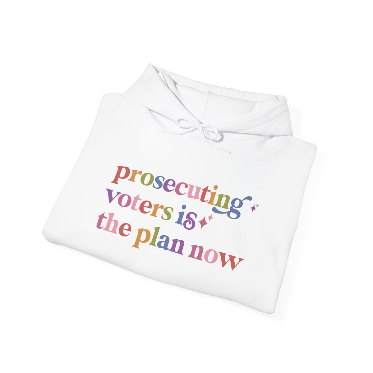 Prosecuting Voters is the Plan Now Hoodie