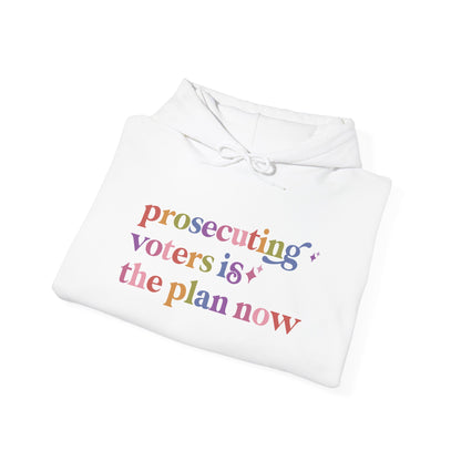 Prosecuting Voters is the Plan Now Hoodie