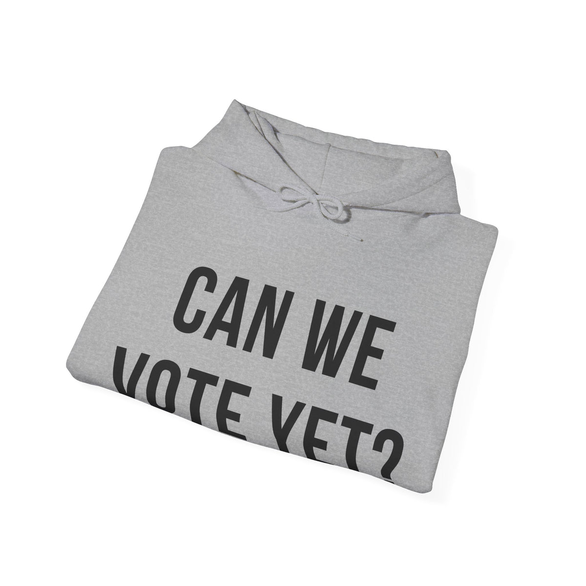 Can We Vote Yet? Hoodie