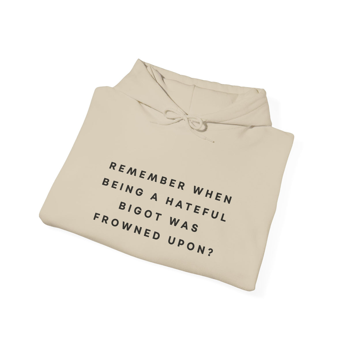 Remember When Being a Hateful Bigot Was Frowned Upon? Hoodie