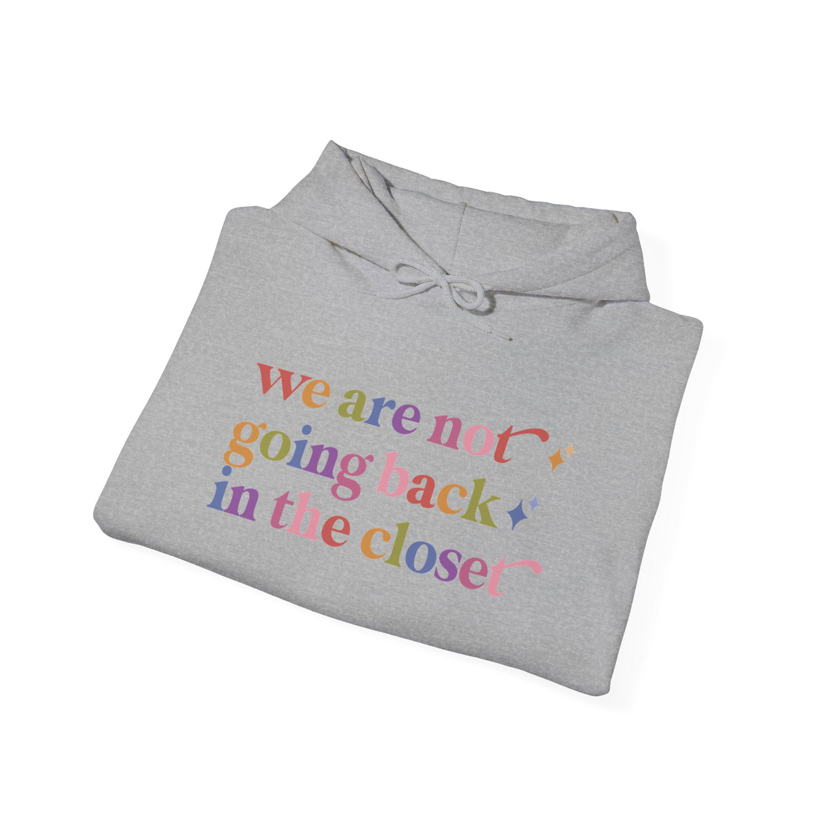 We are not Going Back in the Closet Hoodie