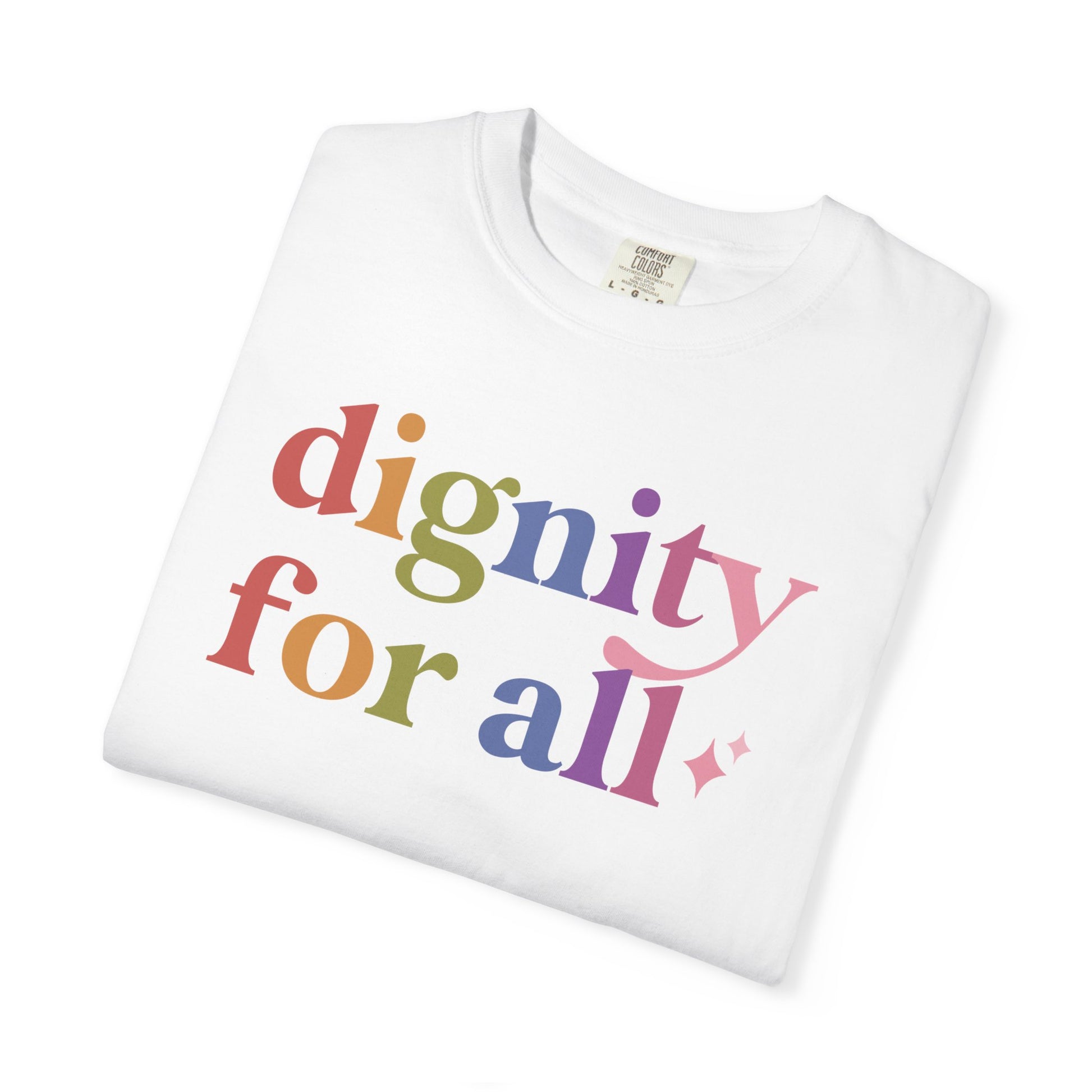 Dignity for All Care & Resist rainbow Comfort Colors tee