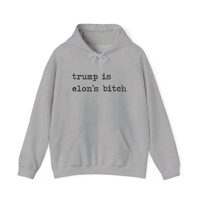 Trump Is Elon's Bitch Hoodie