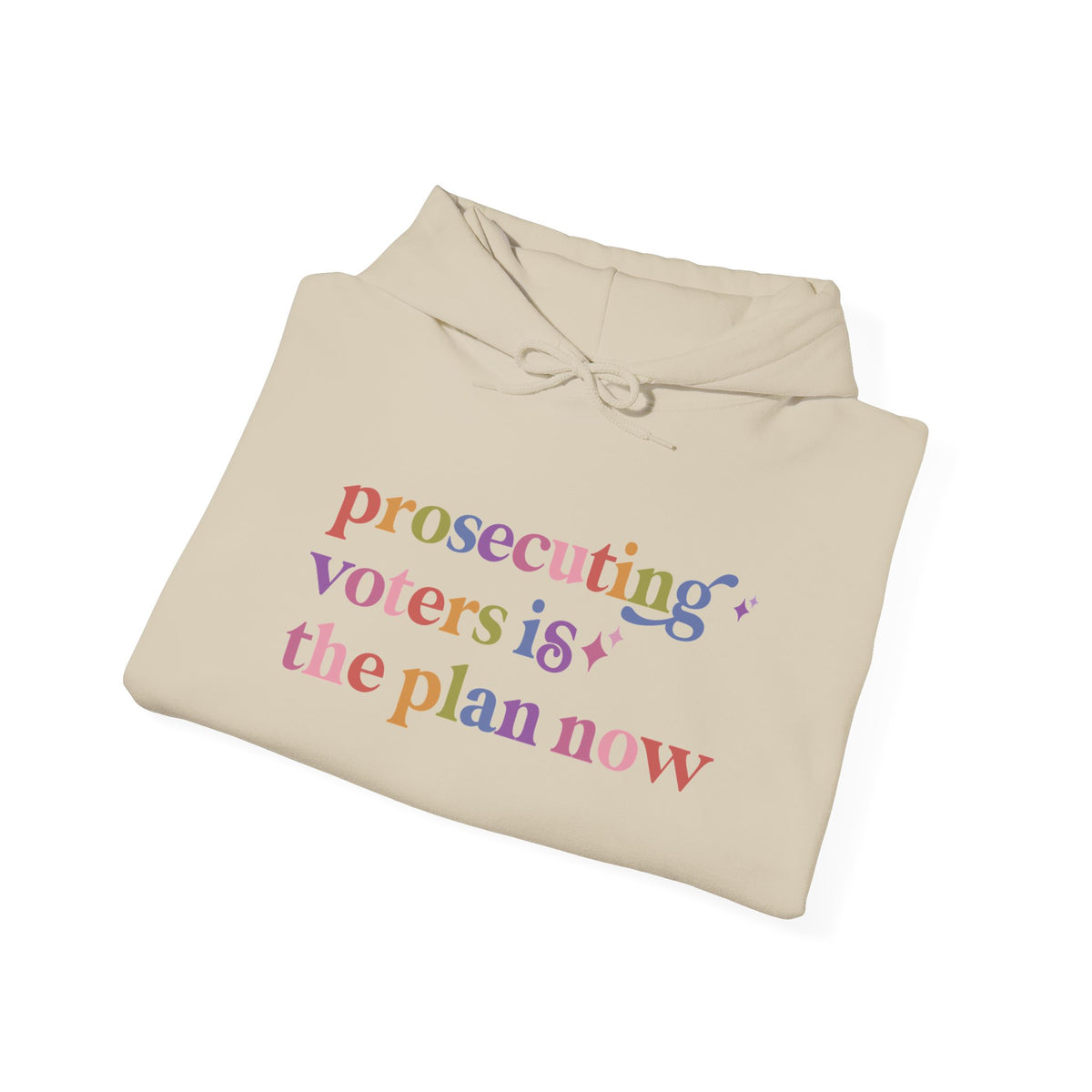 Prosecuting Voters is the Plan Now Hoodie