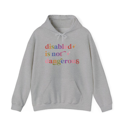 Disabled is not Dangerous Hoodie