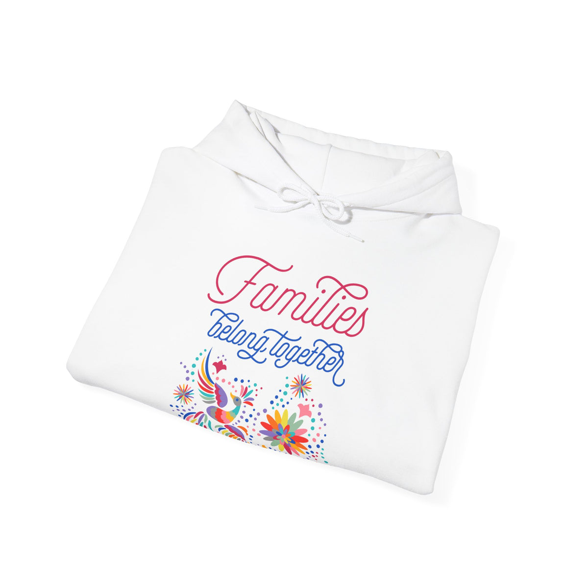 Families Belong Together Rainbow Hoodie