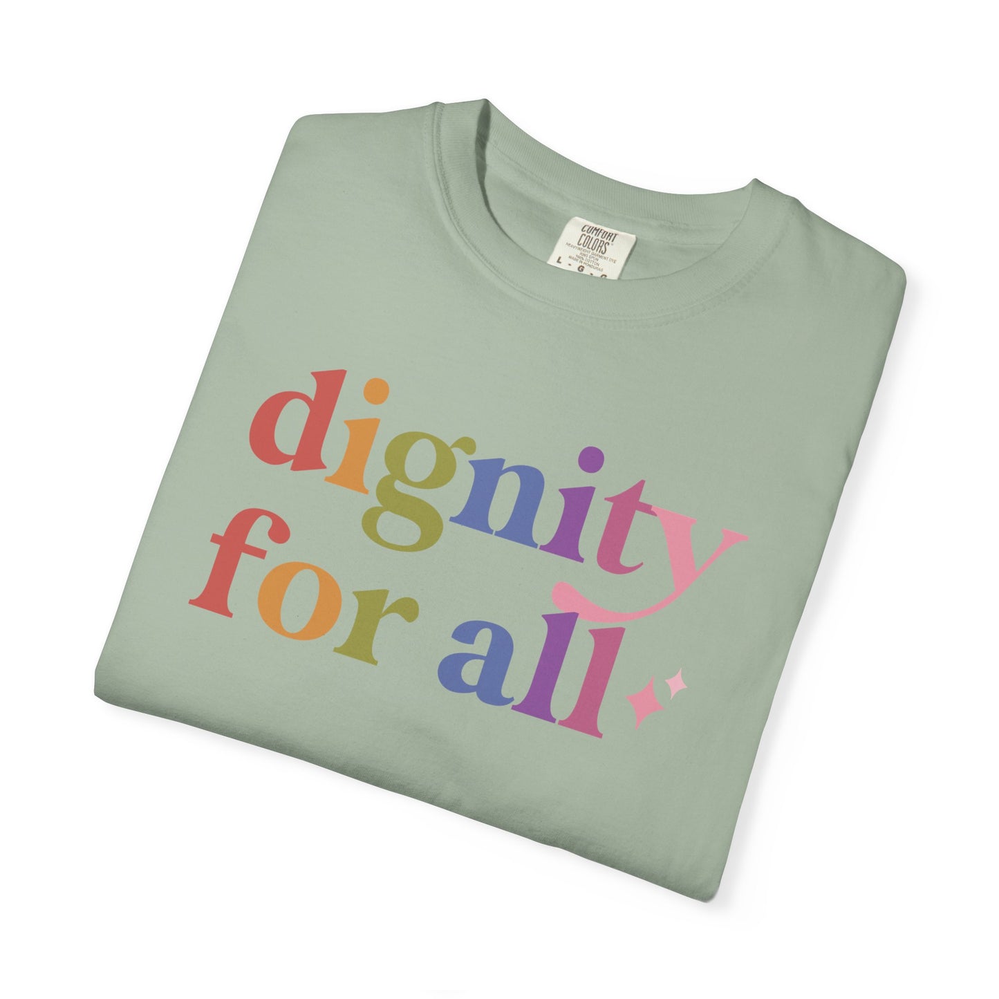 Dignity for All Care & Resist rainbow Comfort Colors tee