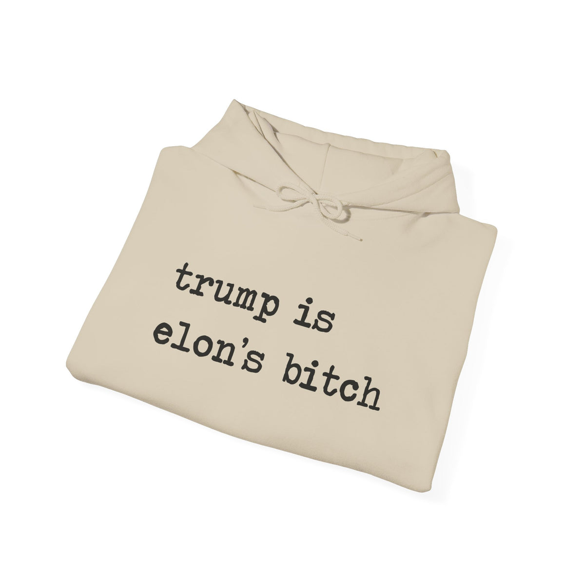 Trump Is Elon's Bitch Hoodie