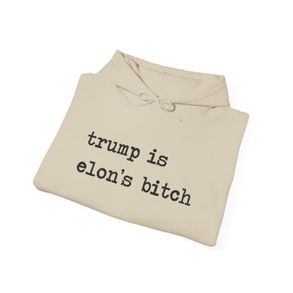 Trump Is Elon's Bitch Hoodie
