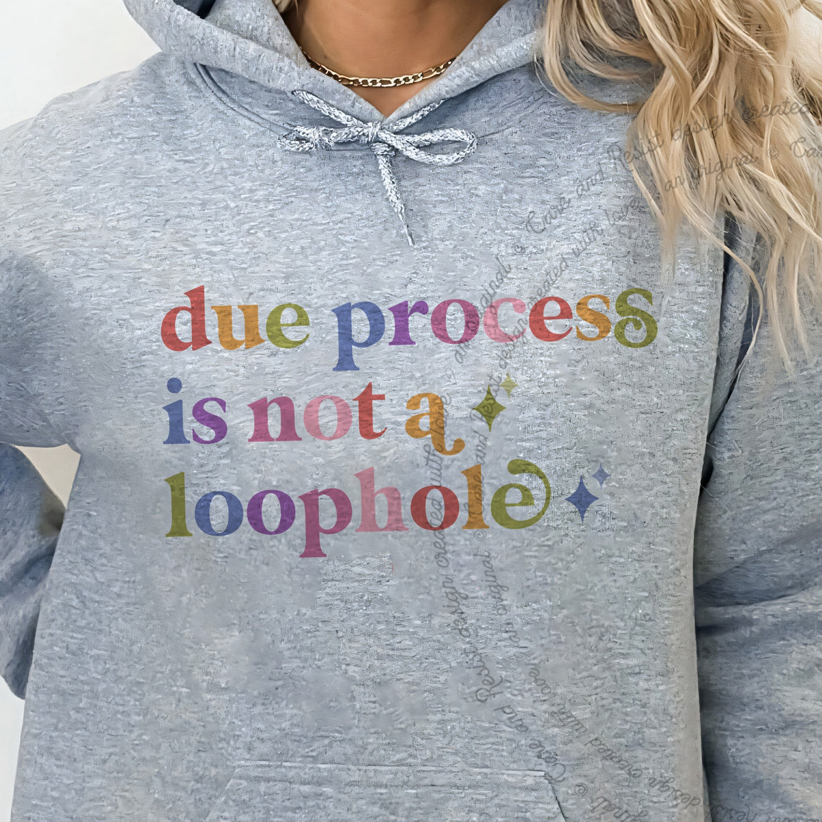 Due Process is not a Loophole Care & Resist Gildan hoodie in Sport Grey