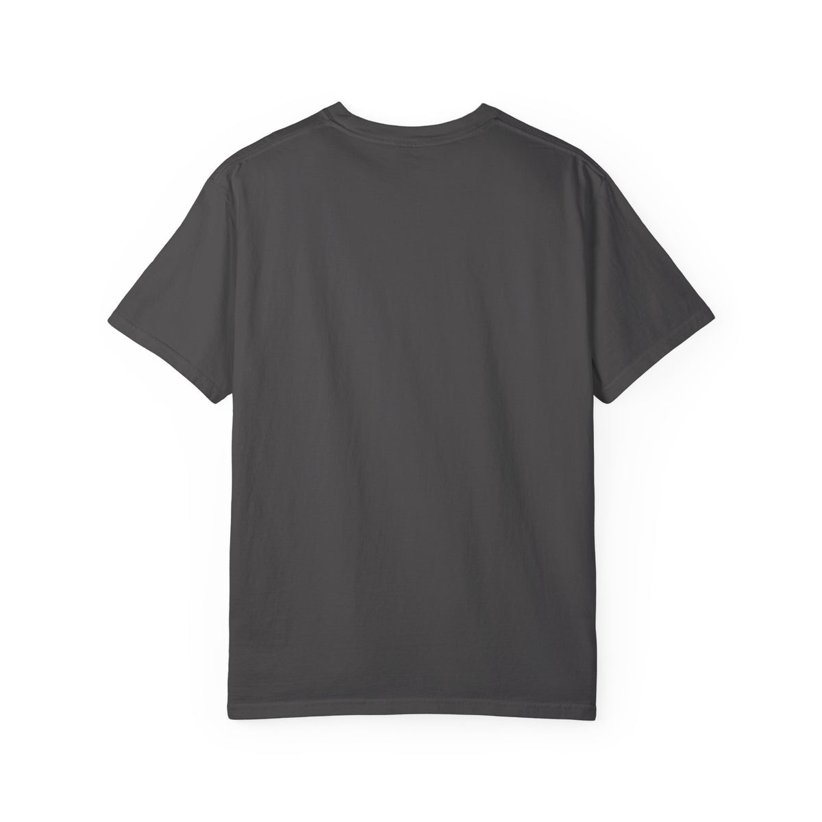 I Brought My Own Interpreter Comfort Colors Unisex T-Shirt