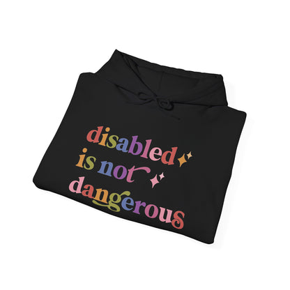 Disabled is not Dangerous Hoodie