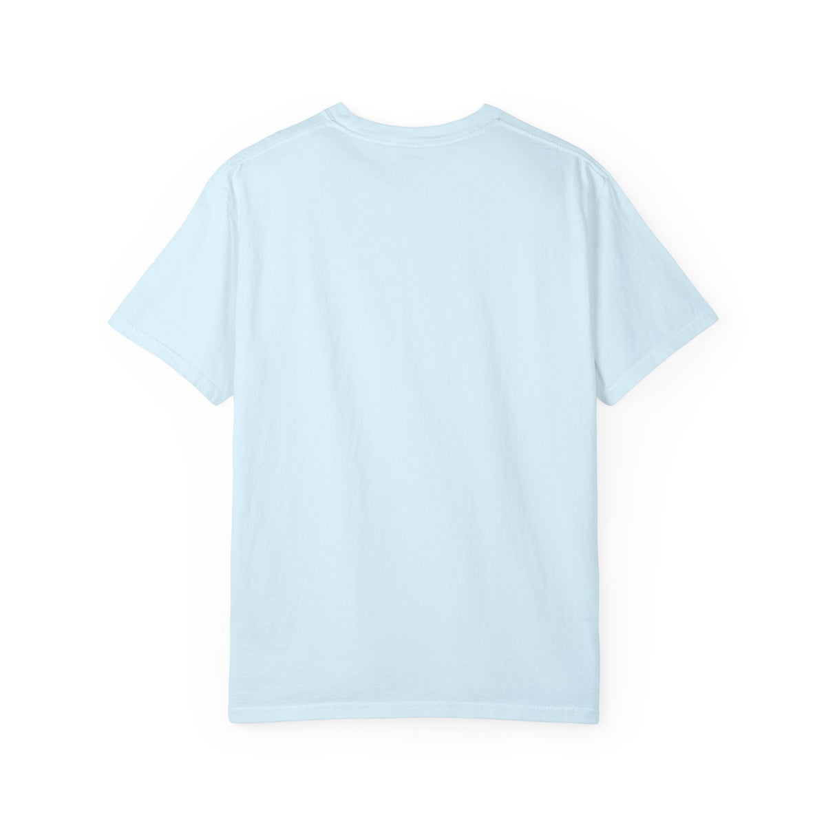 I Brought My Own Interpreter Comfort Colors Unisex T-Shirt