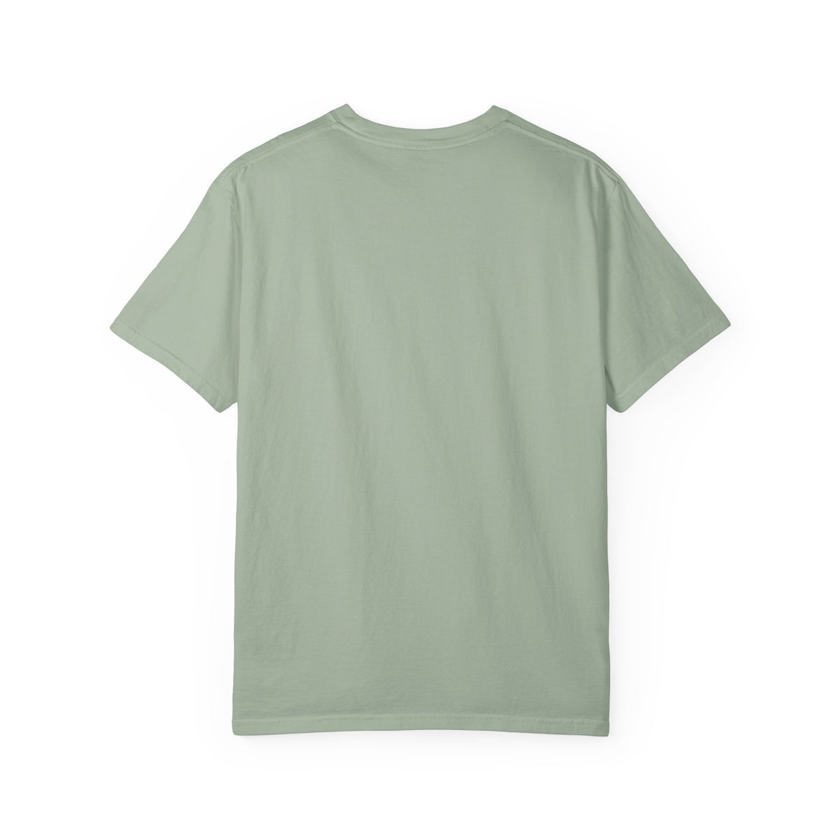 Do Not Comply in Advance Comfort Colors Unisex T-Shirt