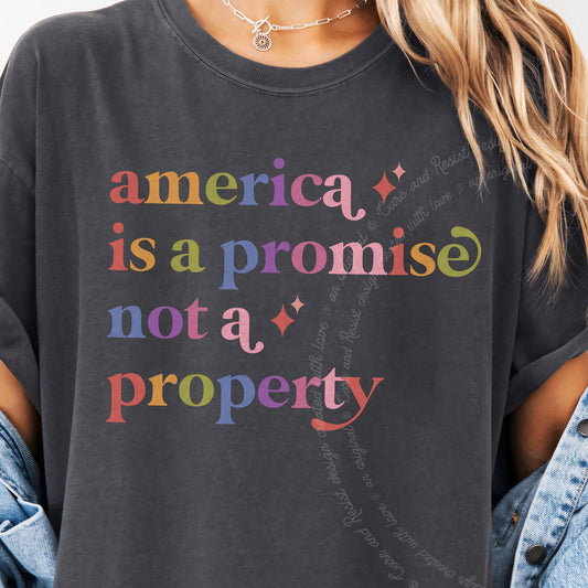 America is a Promise not a Property Care & Resist progressive t-shirt in Graphite