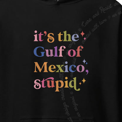 It's the Gulf of Mexico, Stupid Care & Resist Gildan hoodie in Black