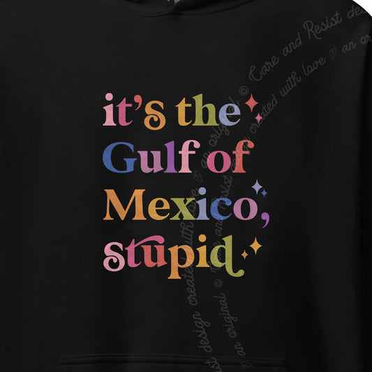 It's the Gulf of Mexico, Stupid Care & Resist Gildan hoodie in Black