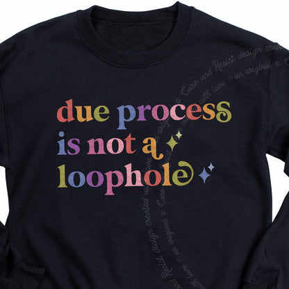 Due Process is not a Loophole Care & Resist Gildan crewneck sweatshirt in Black