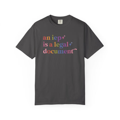 An Iep is a Legal Document Care & Resist rainbow Comfort Colors tee