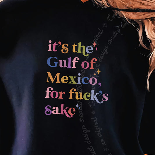 It's the Gulf of Mexico for Fuck's Sake Care & Resist Gildan hoodie in Black
