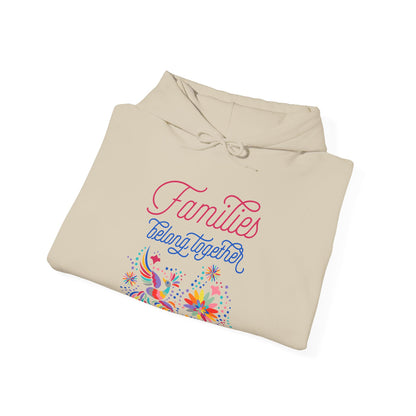 Families Belong Together Rainbow Hoodie