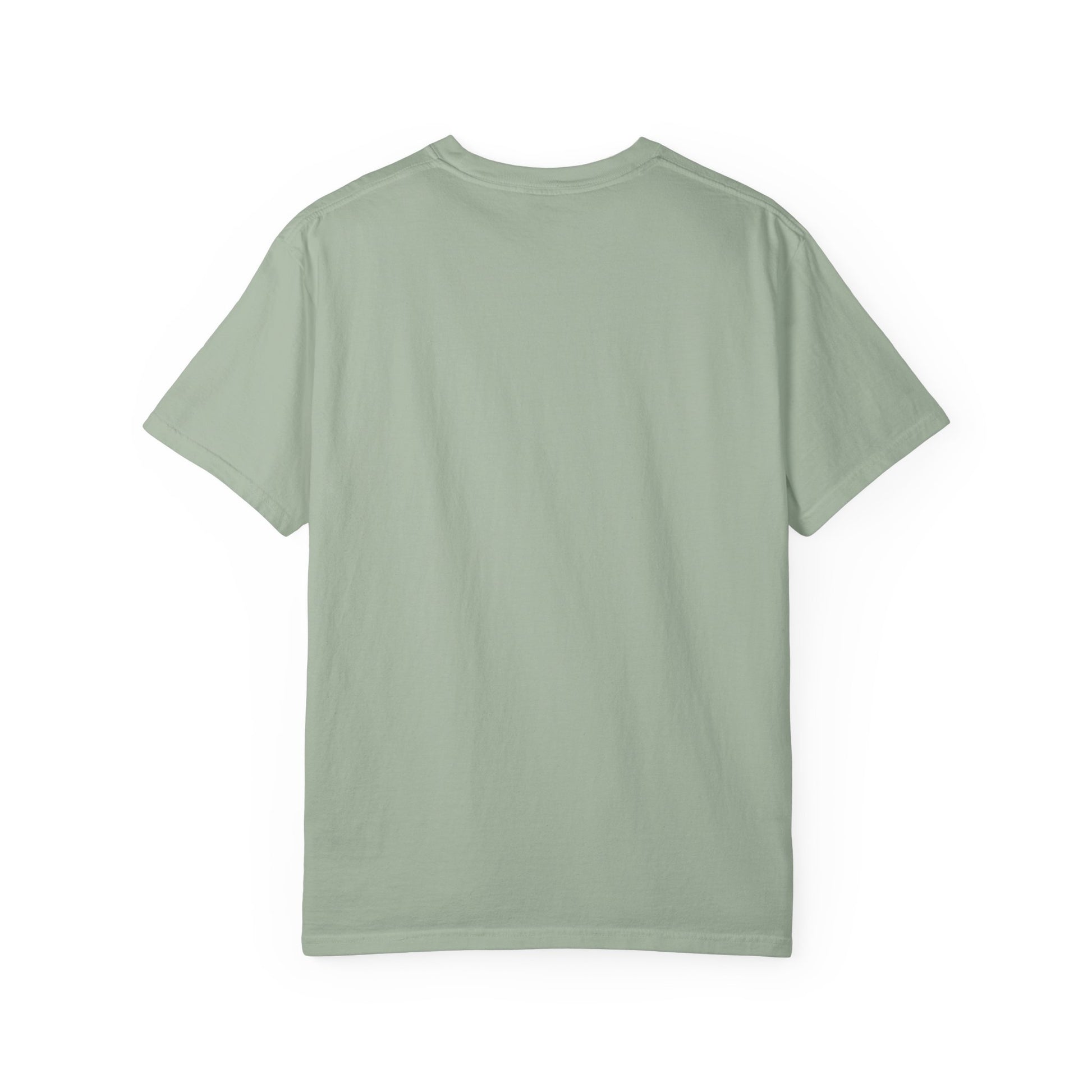 Access Delayed is Access Denied Care & Resist rainbow Comfort Colors tee