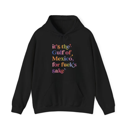 It's the Gulf of Mexico for Fuck's Sake Hoodie