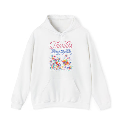 Families Belong Together Rainbow Hoodie