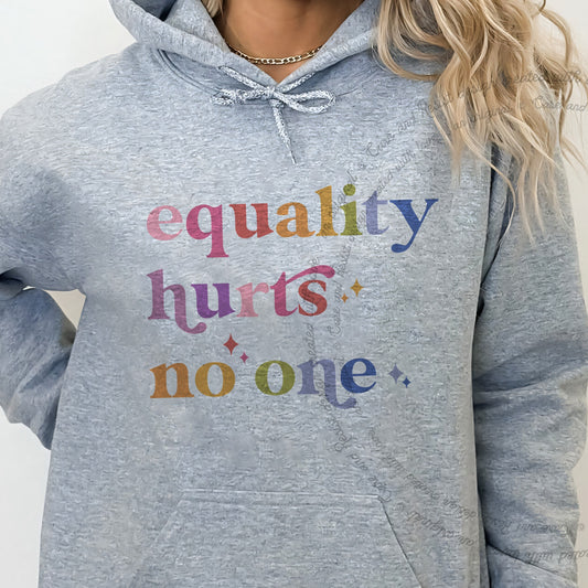Equality Hurts No One Care & Resist Gildan hoodie in Sport Grey